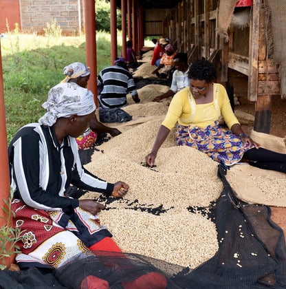 Gatura fra Kenya