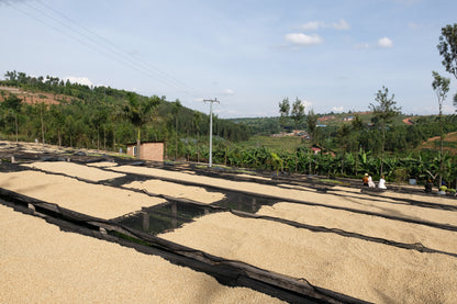 Huye fra Rwanda